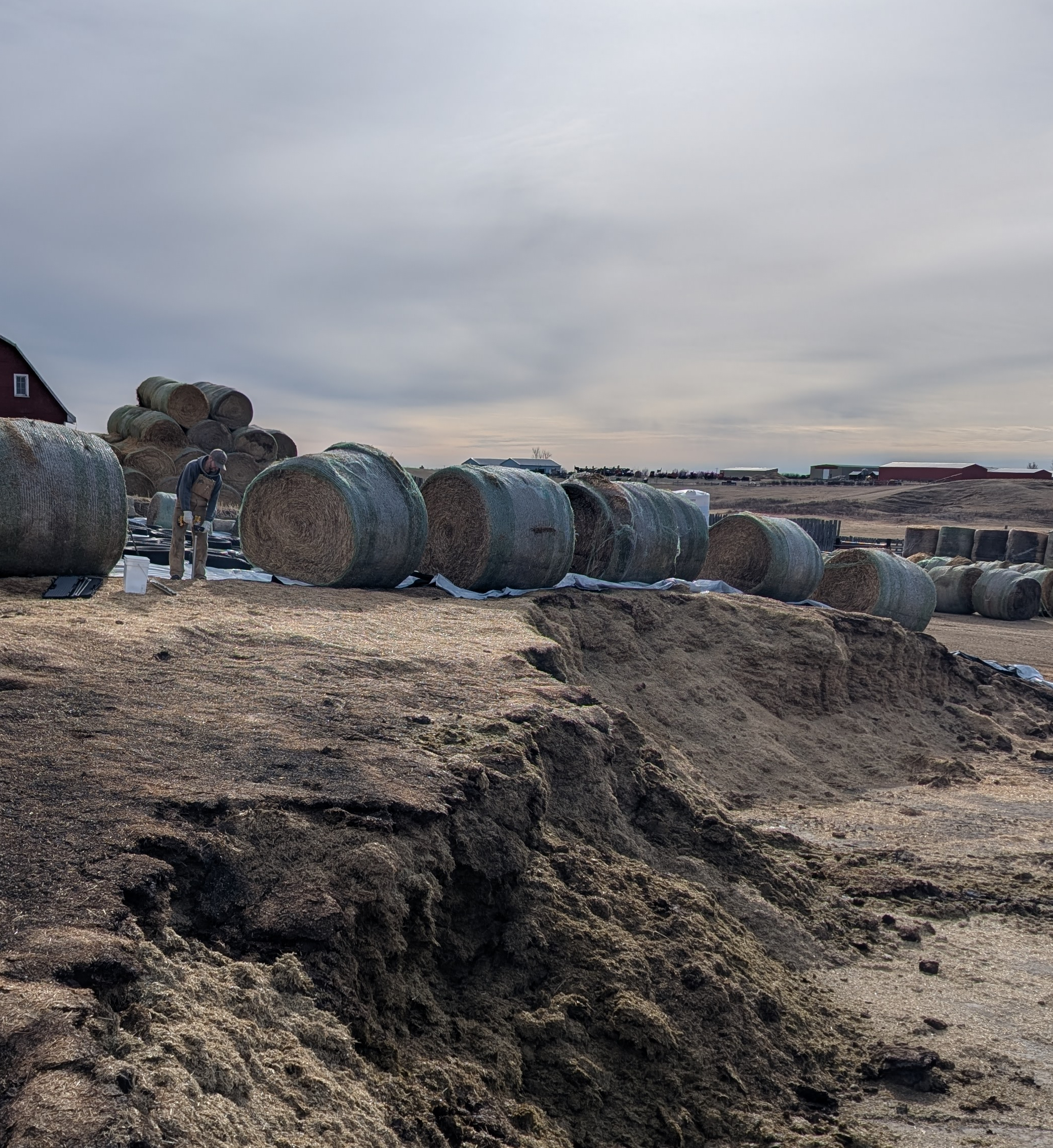 universal on Silage from distance